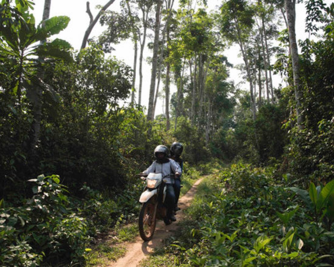 Marie-Roseline Darnycka Bélizaire, an epidemiologist with the World Health Organisation, rides through the forest near Itipo on the way to a follow-up visit with a contact. 