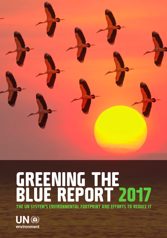 The UN's report on System-wide progress in implementing the UN's Climate Neutral Strategy